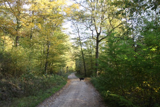 Chemin d\'exploitation de La Plaine