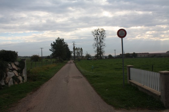 Chemin d\'exploitation de Neuweg