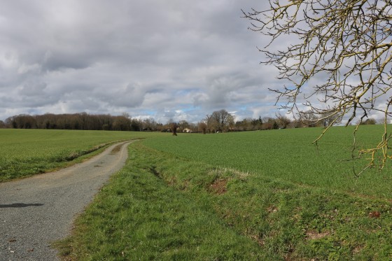 Chemin en direction de la Mauvaitière