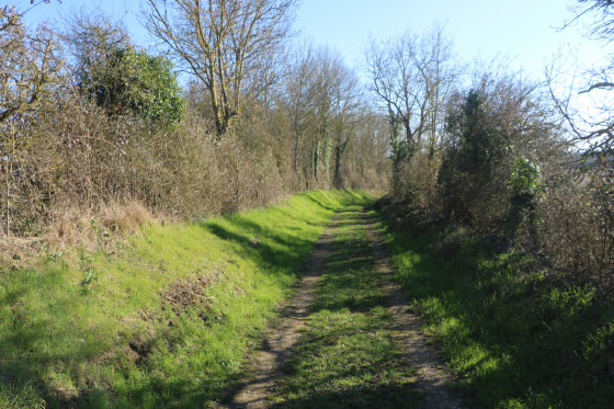 Chemin d\'exploitation enherbé