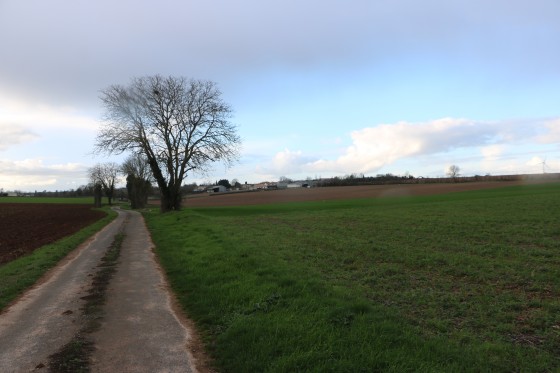 Chemin d'exploitation goudronné