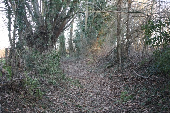 Chemin d'exploitation peu apr&egrave;s la fontaine de la Grimaudi&egrave;re