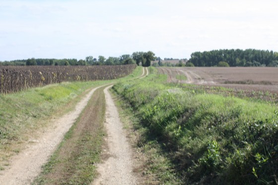 Chemin d'exploitation sur le plateau mellois