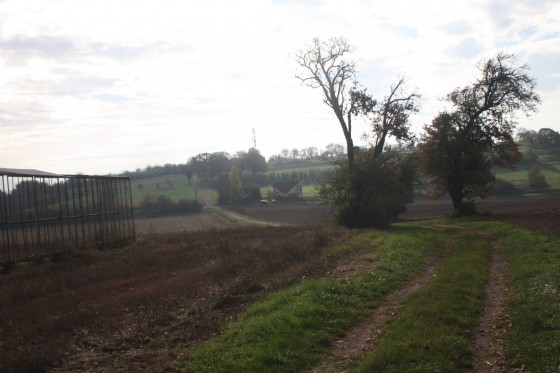 Vers le lieu-dit Hinterfeld