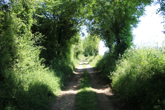 Chemin