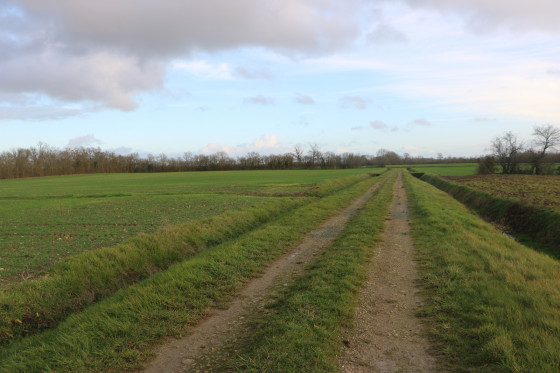 Chemin