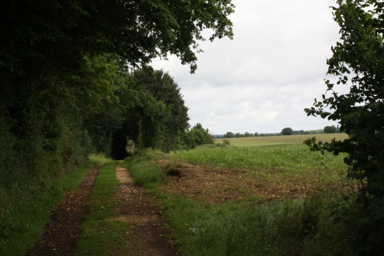 Chemin d'exploitation