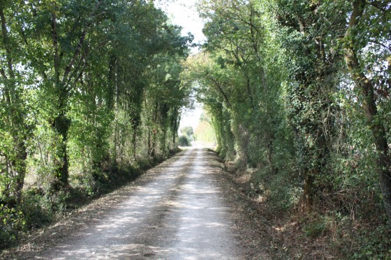 Chemin d\'exploitation