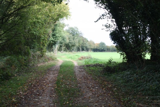 Chemin d\'exploitation
