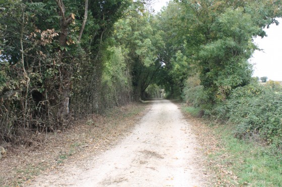 Chemin d\'exploitation