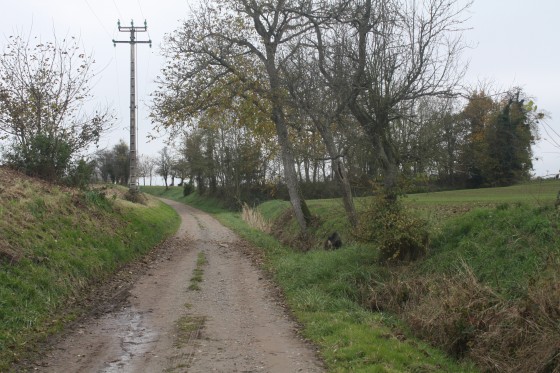chemin d\'exploitation