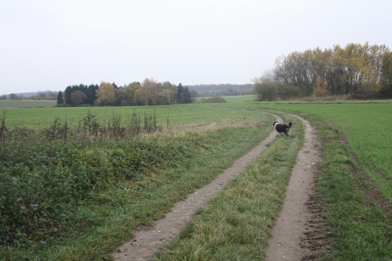 chemin d\'exploitation