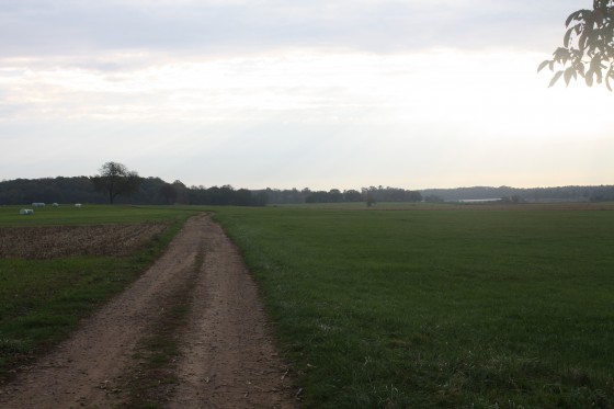 Chemin d\'exploitation