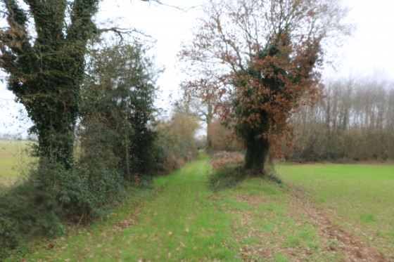 Chemin d'exploitation