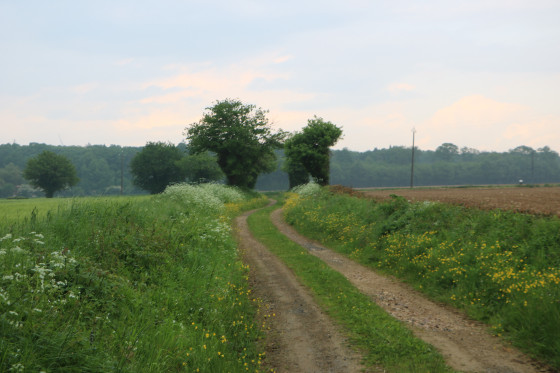 Chemin d'exploitation