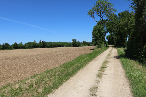 Chemin d\'exploitation