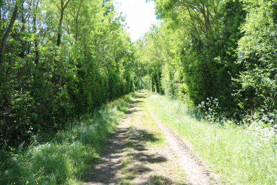 Chemin d\'exploitation