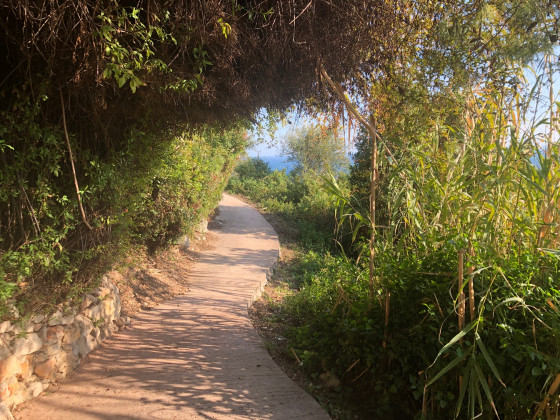 Chemin da Souta