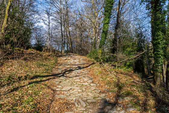 Chemin dallé