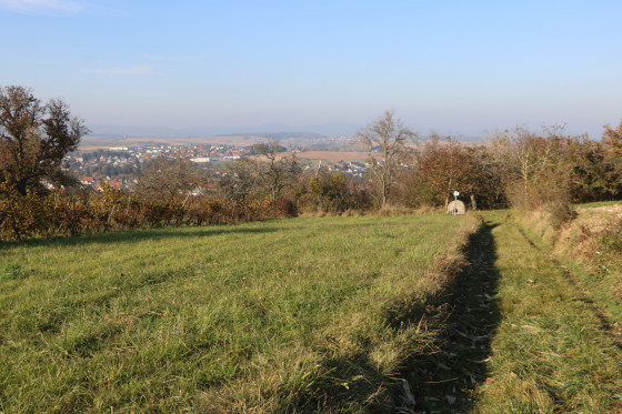 Chemin dans le secteur Wiedy