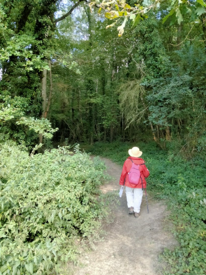 Chemin dans le vallon