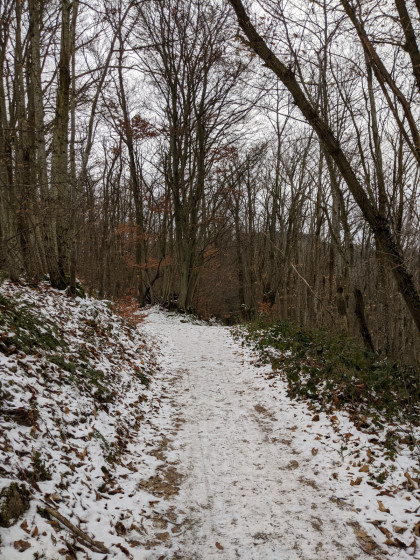 Chemin dans les Monts du Lyonnais