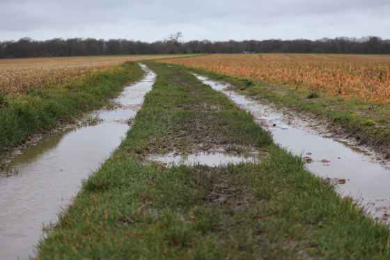 Chemin dans les plaines