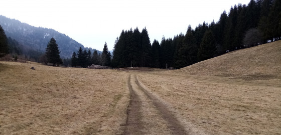 Chemin dans un pré