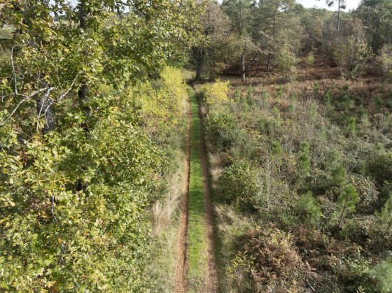 chemin de campagne - Roouffignac