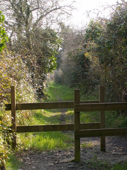 Chemin de campagne