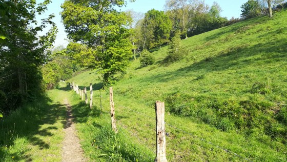 Chemin de campagne