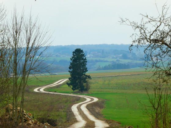 Chemin de campagne