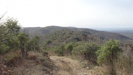 Chemin de crête