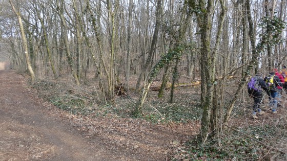 Chemin de crête