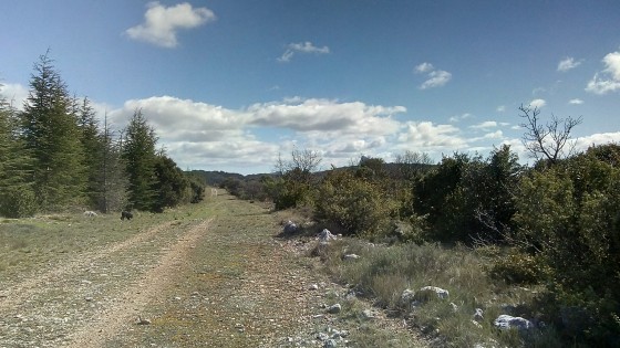 Chemin de crête