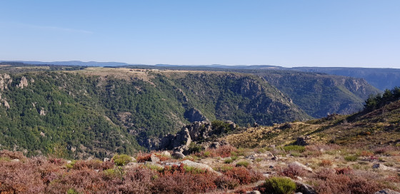 Chemin de descente dans les gorges du Chassezac