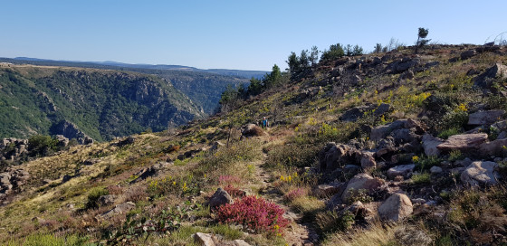 Chemin de descente dans les gorges du Chassezac
