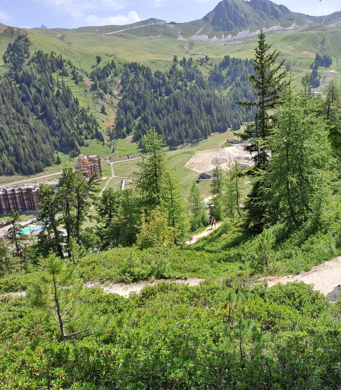 Chemin de descente vers Plagne Bellecote