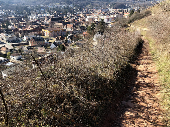 Chemin de descente