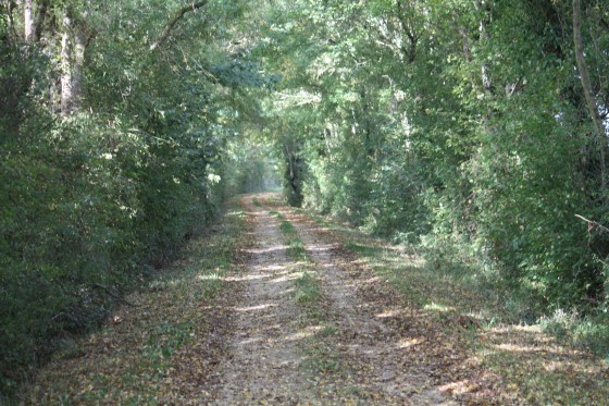 Chemin de Fief-Louis