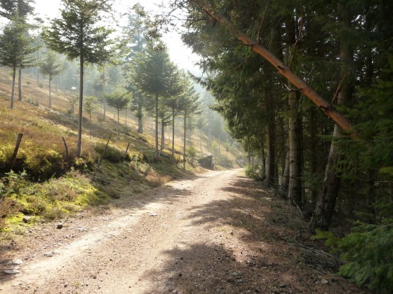 Chemin de Foujas