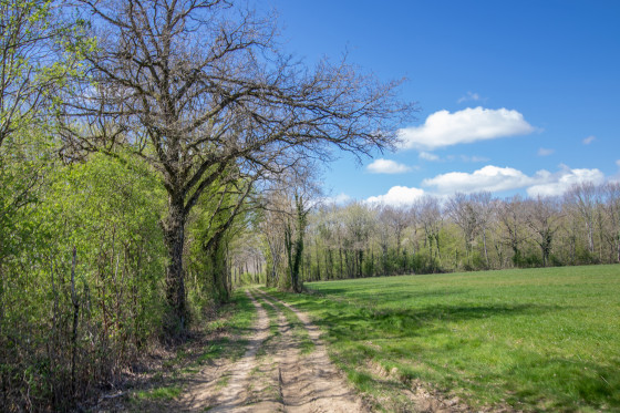 Chemin de Grand Randonn&eacute;e