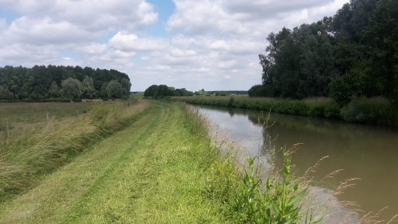 Chemin de halage
