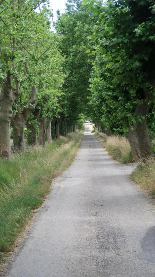 Chemin de l'horte