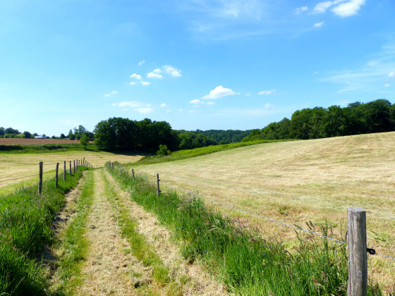 Chemin de la Belgique
