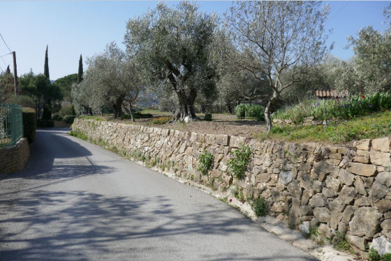 Chemin de la Bérenguière