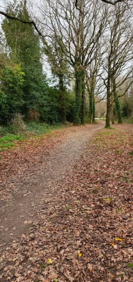 Chemin de la Brossardière