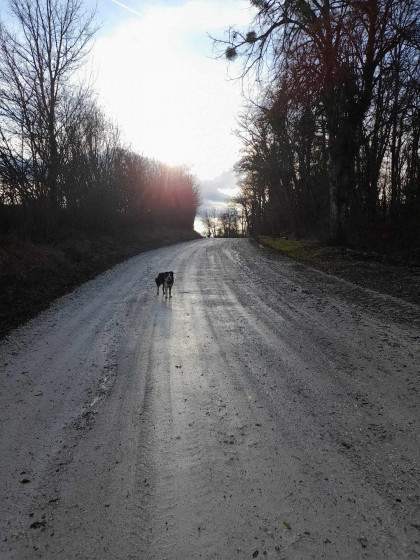 chemin de la carriére
