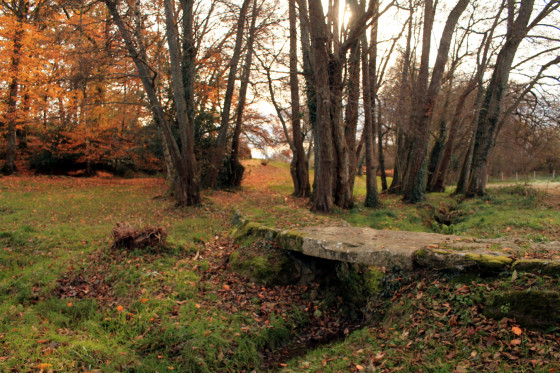 chemin de la clairi&egrave;re du dolmen