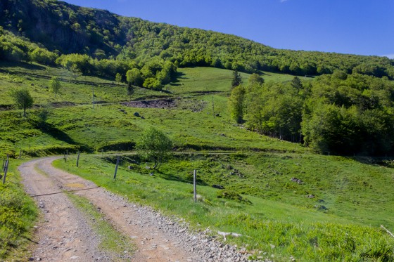 chemin de la ferme auberge Steiwasen